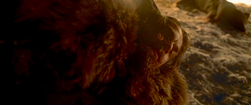 Illustration for article titled The Revenant reimagines the look of the Western by squeezing the wild frontier